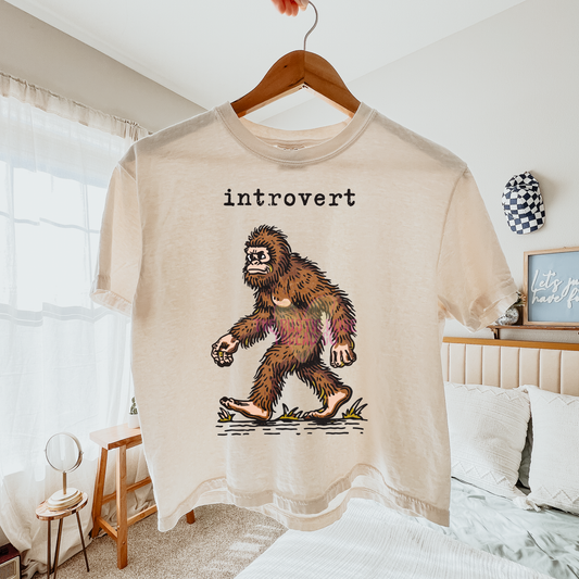 Introvert Boxy Tee